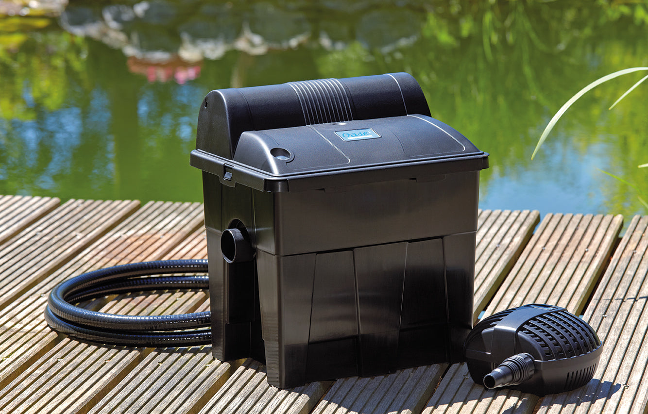 Which pond filter is right for you?